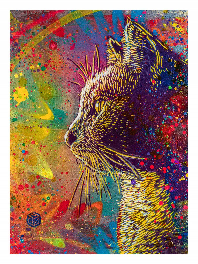 C215 - Rainbow Cat - 60 x 80 cm