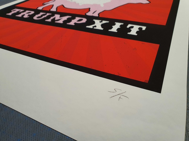 S/F - Trumpxit 50 x 70 cm - Numérotée et signée - Timed edition